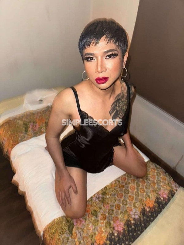 🇹🇭 Thai Escorts in Ipswich: 410074249 - 💫TS & Ladyboy sensual body massage💫