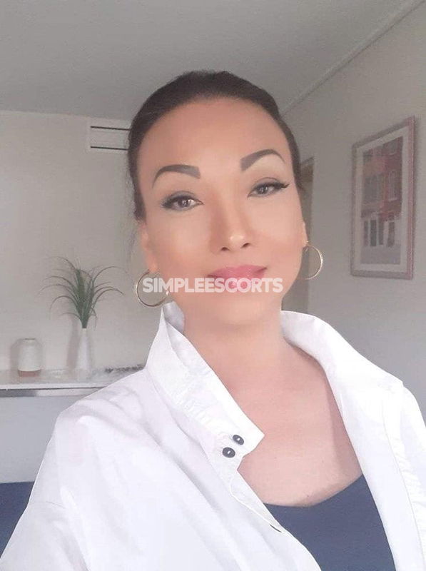 Escorts in Port Macquarie: 431275333 - Last 2 Day! Extra Ordinary Service  6.5 inches Thick and Hard