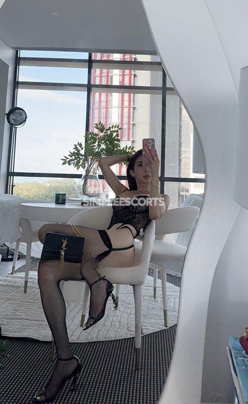 Escorts in Alexandria: 414998886 - 🔥🔥🔥HOT PARTY TS  0414998886