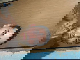 21978989046 Novinhobxd