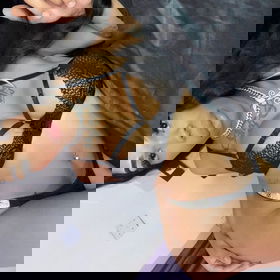 19982211347 Monique Marcondes