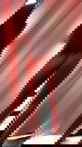 41998367657 Nicole , comigo você vai encontrar doçura e travessuras.