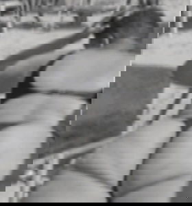 81992701473 Ariel Barbosa