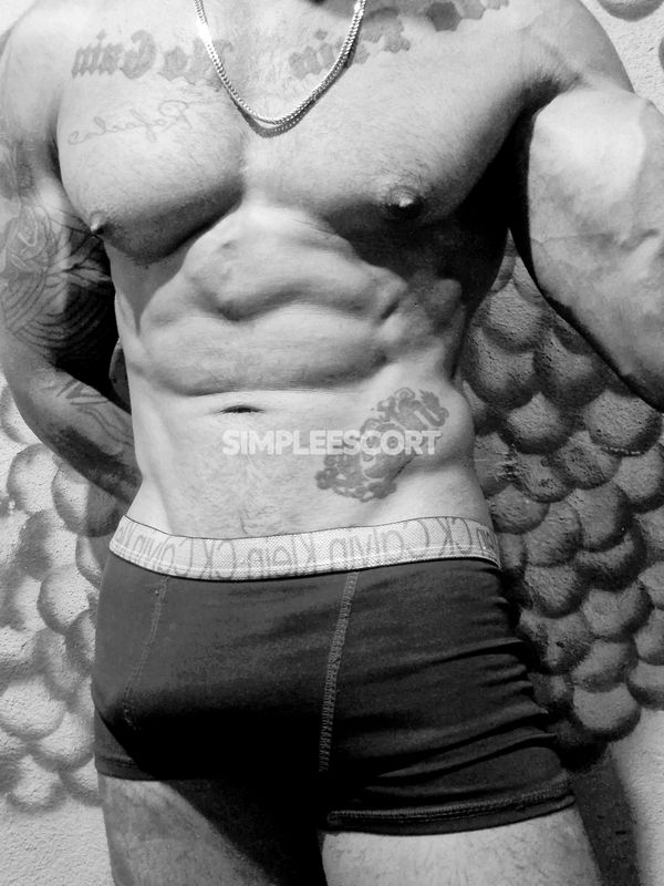 Acompanhantes 🇧🇷 Brasileira em Centro (São Paulo): 81979126379 -  DOMINADOR CAVALÃO 23-CM GROSSA Atendimento Virtual quero dar Leitinho🔥💦😈🔥 