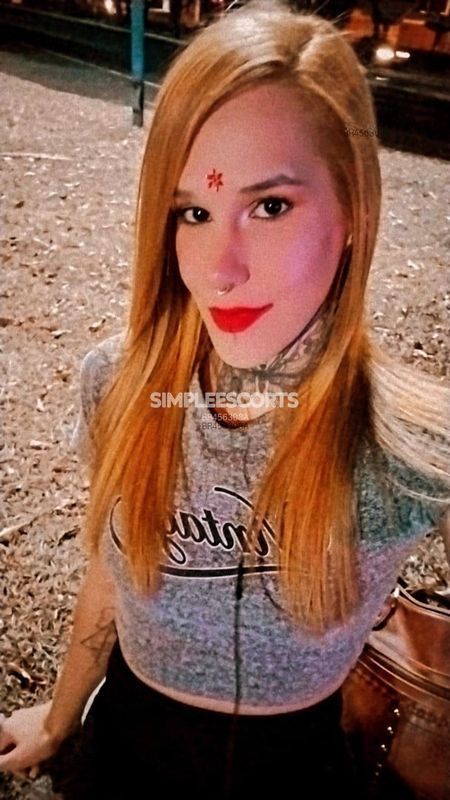 Acompanhantes 🇧🇷 Brasileira em Ribeirão Prêto: 16991141604 - Amanda Veronezzi