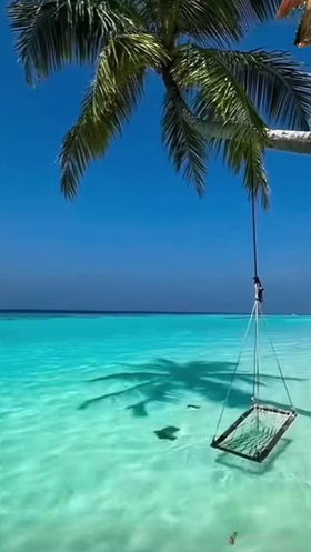 22981873564 Karol: Sua Nova Companhia!