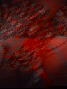 71286708 Para Hacer Sus Sueños...