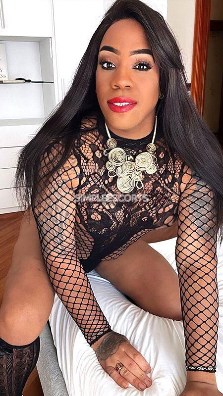 Escort a Brera: 3711943155 - NEW🇧🇷❤️🔥 ( stampa le foto e vieni ) == foto 100% reale senza fregatura brasiliana bellissima trans💥super attiva
