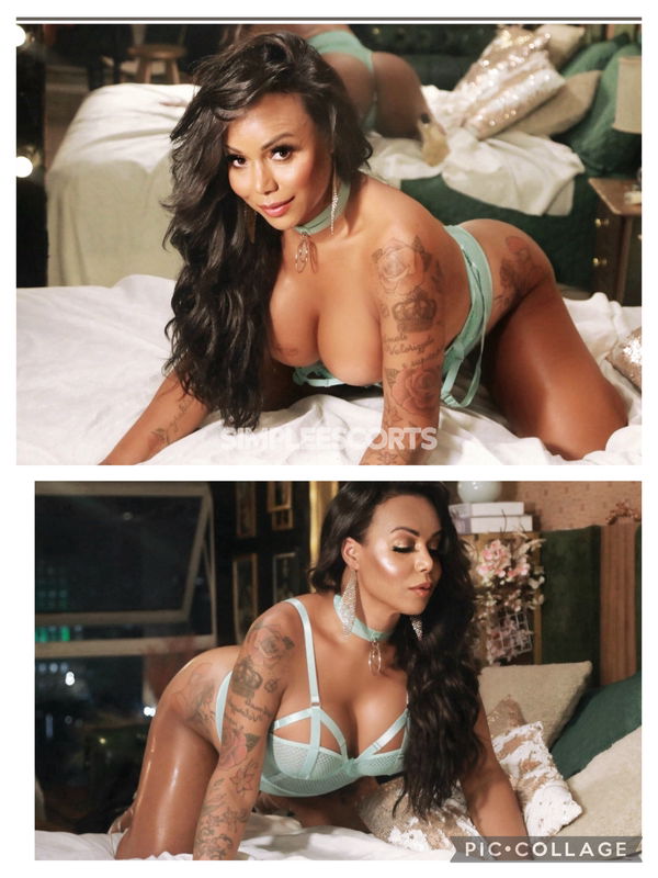 Escort 🇧🇷 Brasiliana a Savona: 3881016532 - 💋❤️TX GRACCIANE TITTI DEA UNICA 💋❤️
