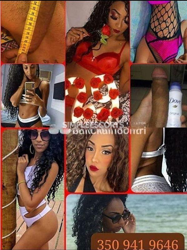 Escort 🇧🇷 Brasiliana a Borgo Vittoria: 3508263868 - 🚫🥂🍾❄️LUCIA LA PIÙ PORCA DELLA ZONA QUELA CHE POI SODDISFARE SENZA TABU TUTTO IL TUO DESIDERI PIÙ NASCOSTI QUI  25cm  TI ASPETTANO DURO I FUNZIONANTE A