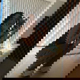 3509271727 Mi chiamo Audrey, ho 29 anni. 