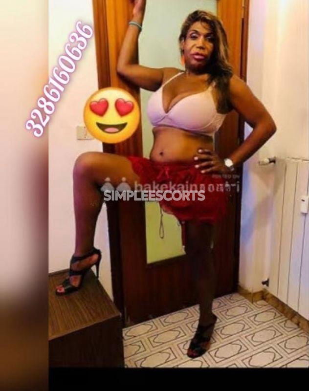 Escort a Mirafiori: 3286160636 - Novità assoluta 💗 Bianca trans brasiliana per pochi giorni a Torino