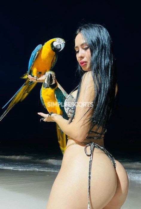 🇨🇴 Colombian Escorts in Bugibba: 99198790 - Anais