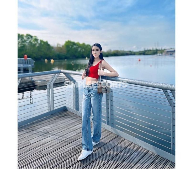 🇹🇭 Thai Escorts in Chelmsford: 7498968328 - Beebee TS 🐝 Slim Model Attractive Thai Ladyboy 🍌💦