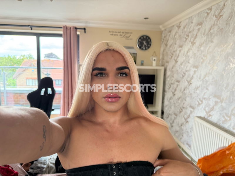 🇧🇷 Brazilian Escorts in Preston: 7935029895 - Sara grande festa gostosa🤤🇧🇷